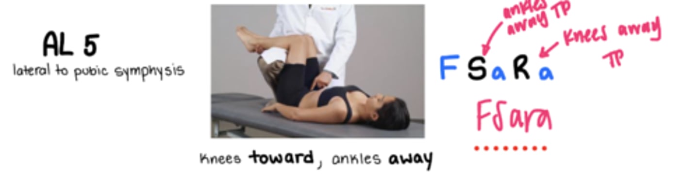 <p>F Sa Ra</p><p>TP = lateral to pubic symphasis</p><p>ONLY lumbar anterior CS ankles are AWAY</p>