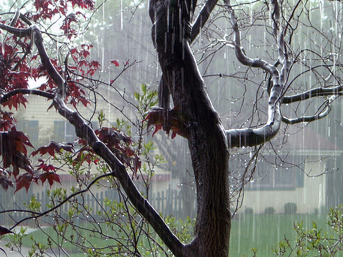 <p>He runs outside into the rain</p>