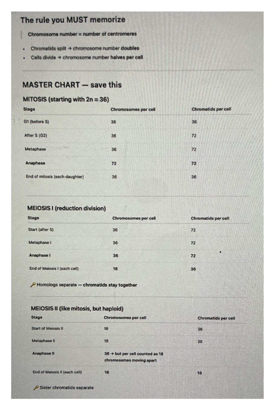 <p>MEMORIZE THIS</p><p></p>