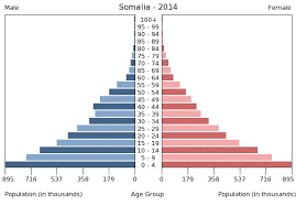 <p>Broad base in pre-productive ages (bottom)</p>