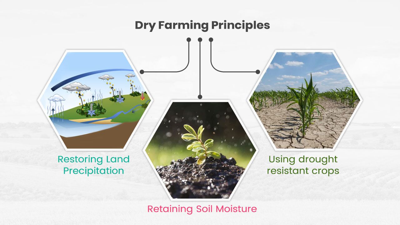 <p><span style="background-color: transparent;">dry land farming</span></p>