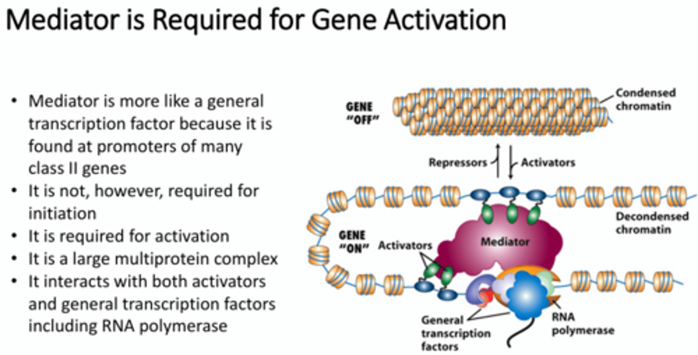<p>A general transcription factor. It is found at promoters of many class II genes. It is a large multiprotein complex that interacts with both activators and general transcription factors and RNA polymerase. It transmits signals from the TFs to the RNA pol</p>