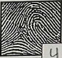 <p>What type of finger print is this?</p>