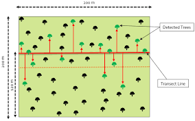 <p>Drawing a line across a habitat</p>
