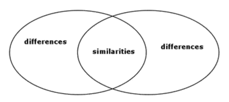 <p>similarities</p>