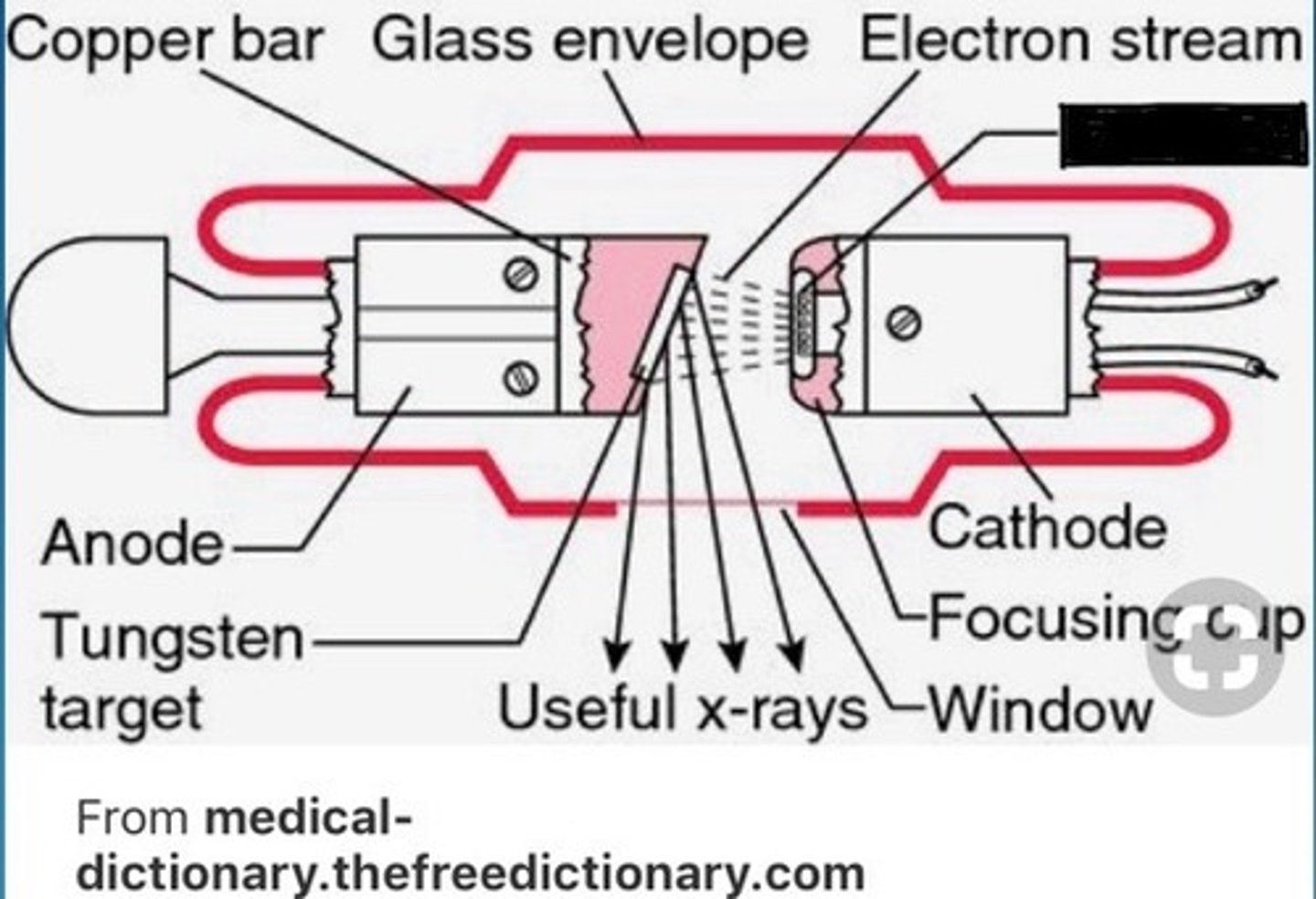 <p>Source of electrons</p>