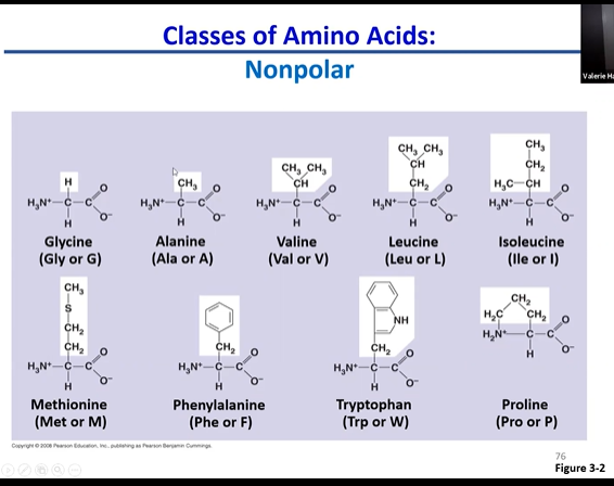 only focus on r group

mostly  hydrocarbon/non polar