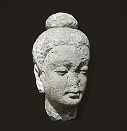 <p>a protrusion at the top of the head, or the top knot of a Buddha</p>