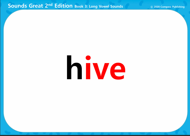<p>hive</p>