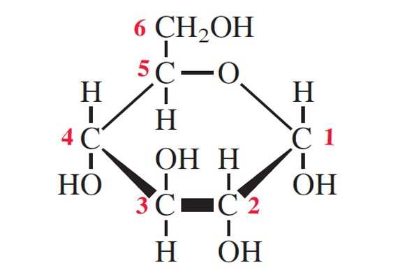 <p>What is this molecule</p>