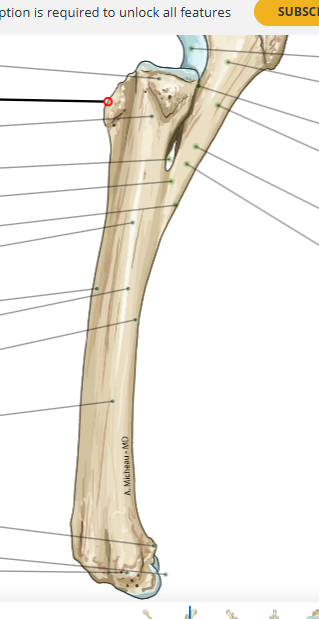 <p>Vad är markerat?</p>