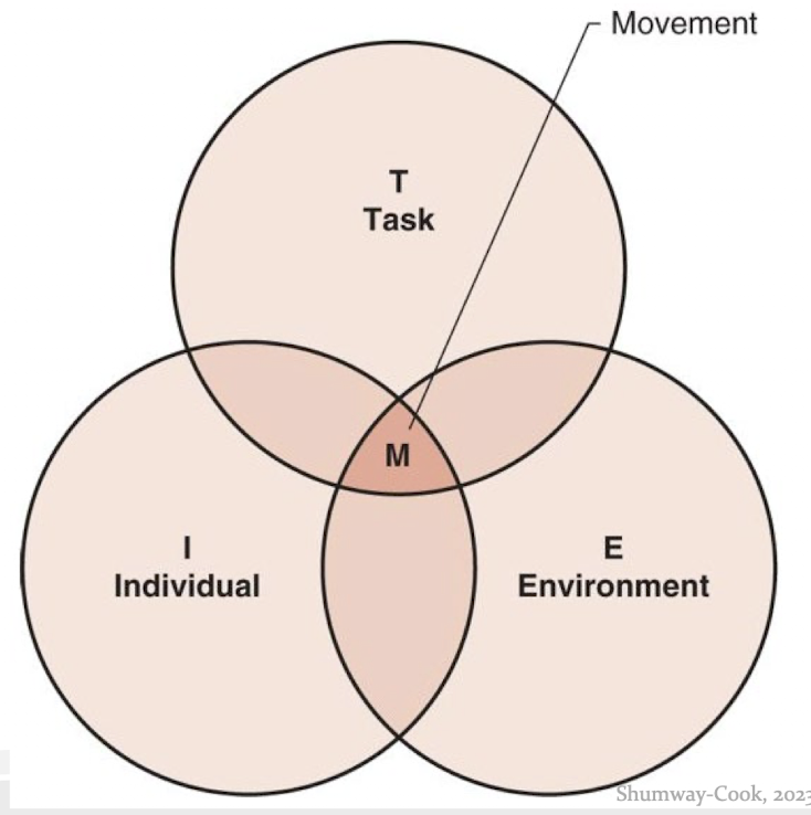 <p>The interaction of the individual, environment, and the task shapes human motor behavior.</p><p>Altering the environment, the task, or both will result in a change of motor behavior. </p>