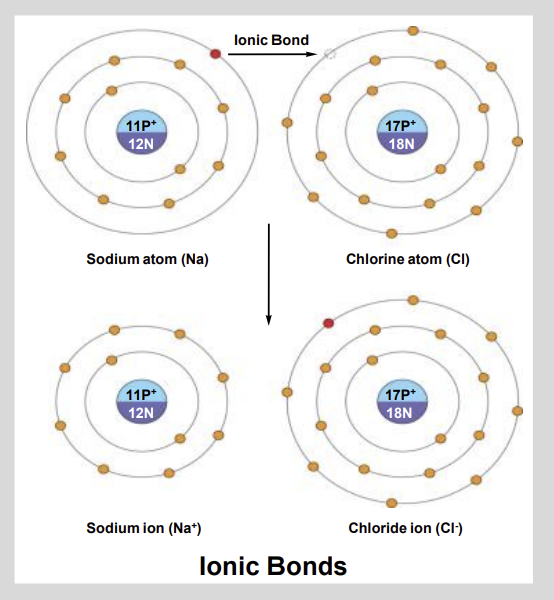 <ul><li><p>Bond formed when one atom <strong>transfers electrons</strong> to another atom.</p></li><li><p>Creating oppositely charged ions that are held together by electrostatic attraction.</p></li></ul><p></p>