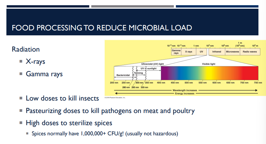<p>Describe how radiation helps to reduce microbial load in food processing.</p>