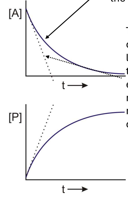 <p>In the following graph what does the dashed line represent?</p>