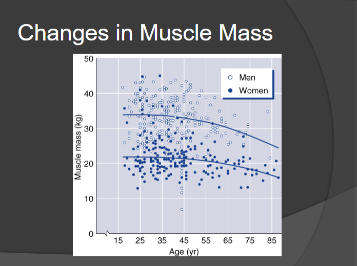 <p>Male vs Female Muscle Mass</p>