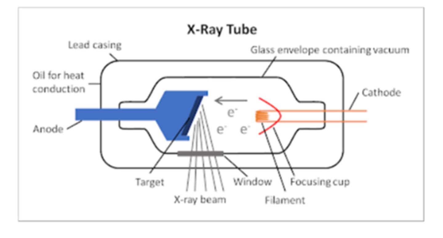 <p>1. Vacuum-enclosed area</p><p>2, Prevents dust interfering with electrons</p><p>3, Heat-protected glass with oil to dissipate head</p><p>4. Beryllium window</p><p>(Allows X-rays to pass from enclosure to patient)</p><p>5. Aluminum filters prevent weak X-rays from passing</p><p>6. Collimating device present</p>