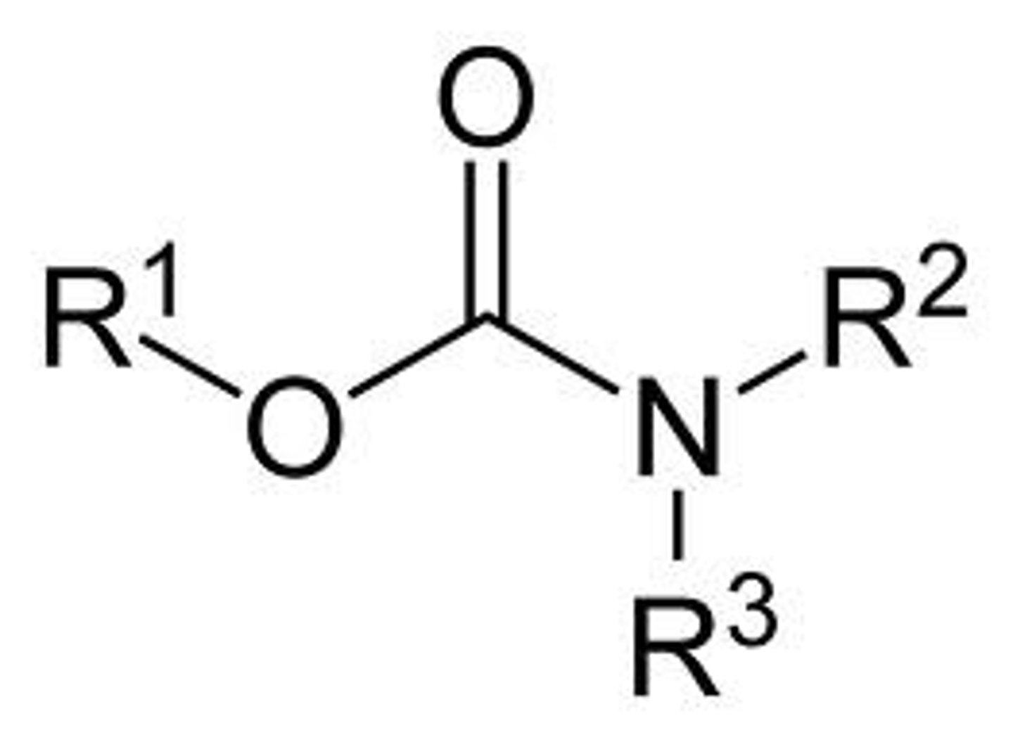 <p>carbonyl with OR and N</p>