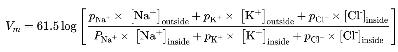 <p>flows from the Nernst equation, taking into account the relative contribution of each major ion to the membrane potential</p>