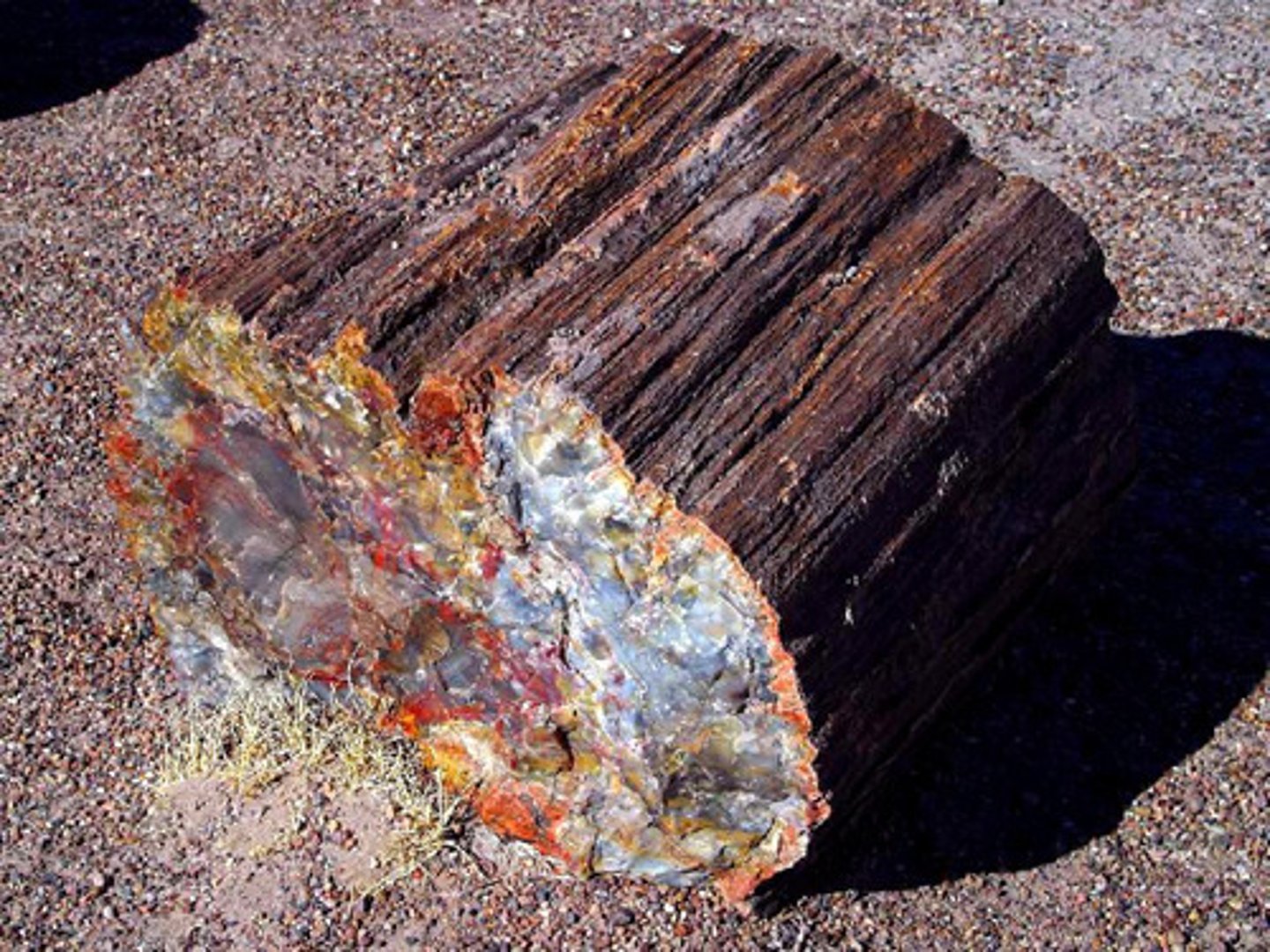 <p>The soft parts of a once living thing is replaced by minerals.</p>