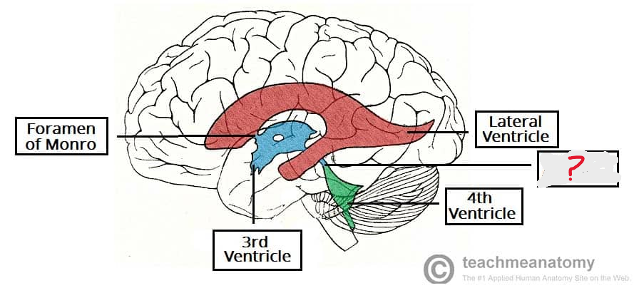<p>What is this </p>