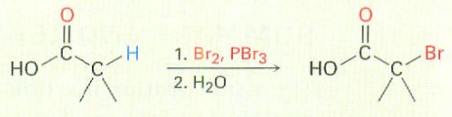 <p>a chemical reaction in which bromine is installed at the alpha position of a carboxylic acid; this reaction can be used to form a racemic mixture of an amino acid after the bromine atom is reacted, via an SN2 reaction, with an amine</p>