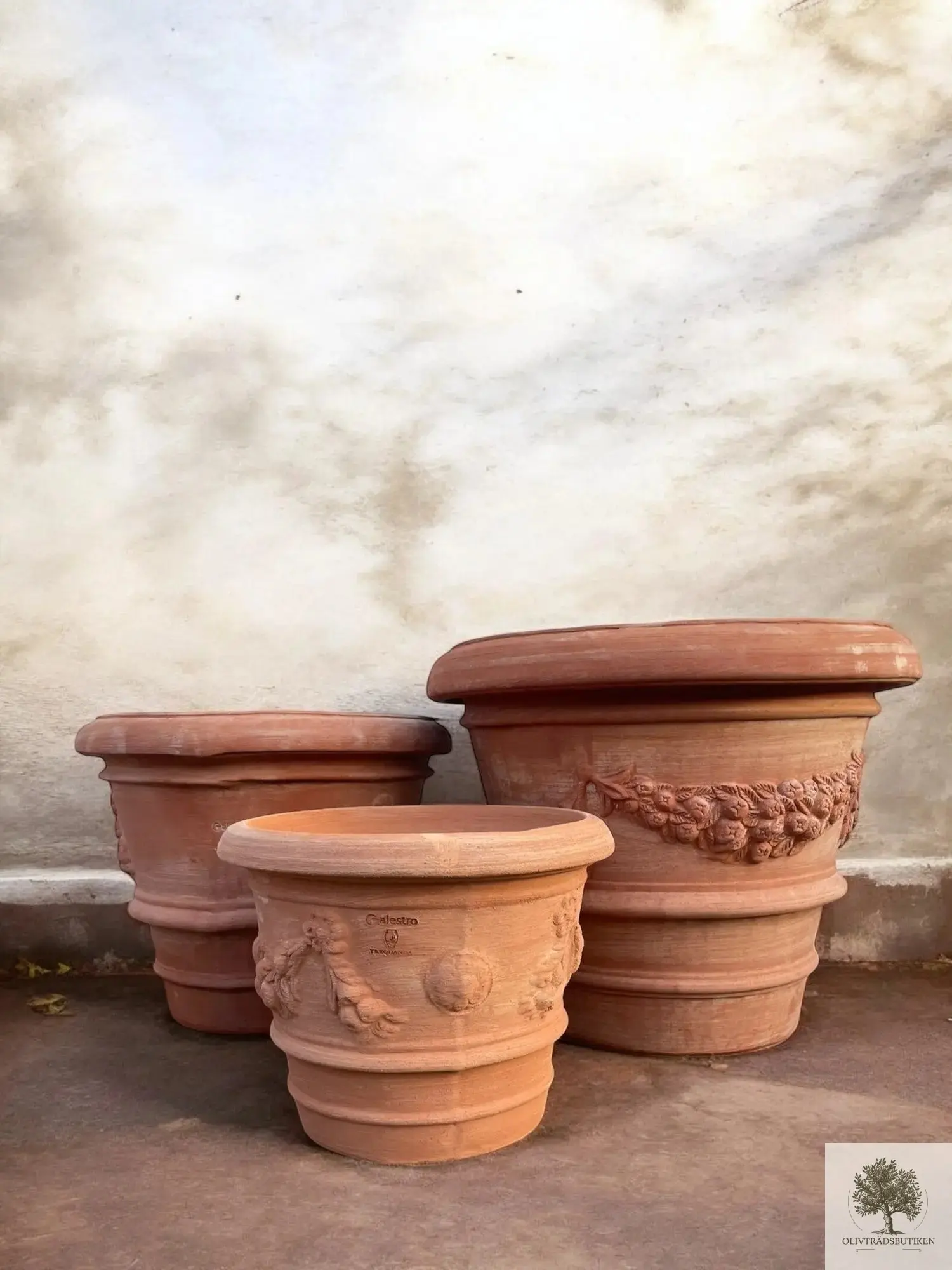 <p><strong>Terrakotta </strong></p>