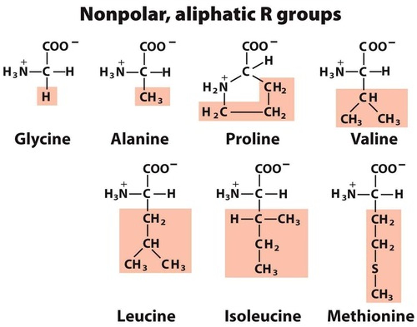 <p>Nonpolar aliphatic, aromatic, polar uncharged, positively charged, and negatively charged.</p>