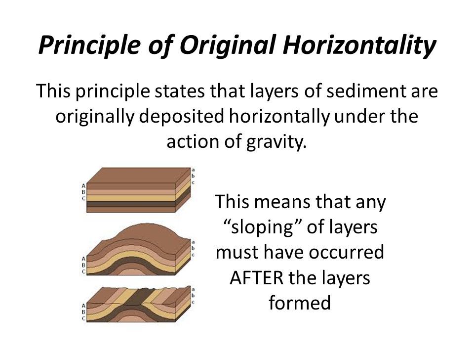 <p>sediments are deposited in flat horizontal layers (meaning tilting/folding must indicate later deformation)</p>