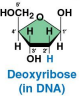<p>Deoxyribose</p>