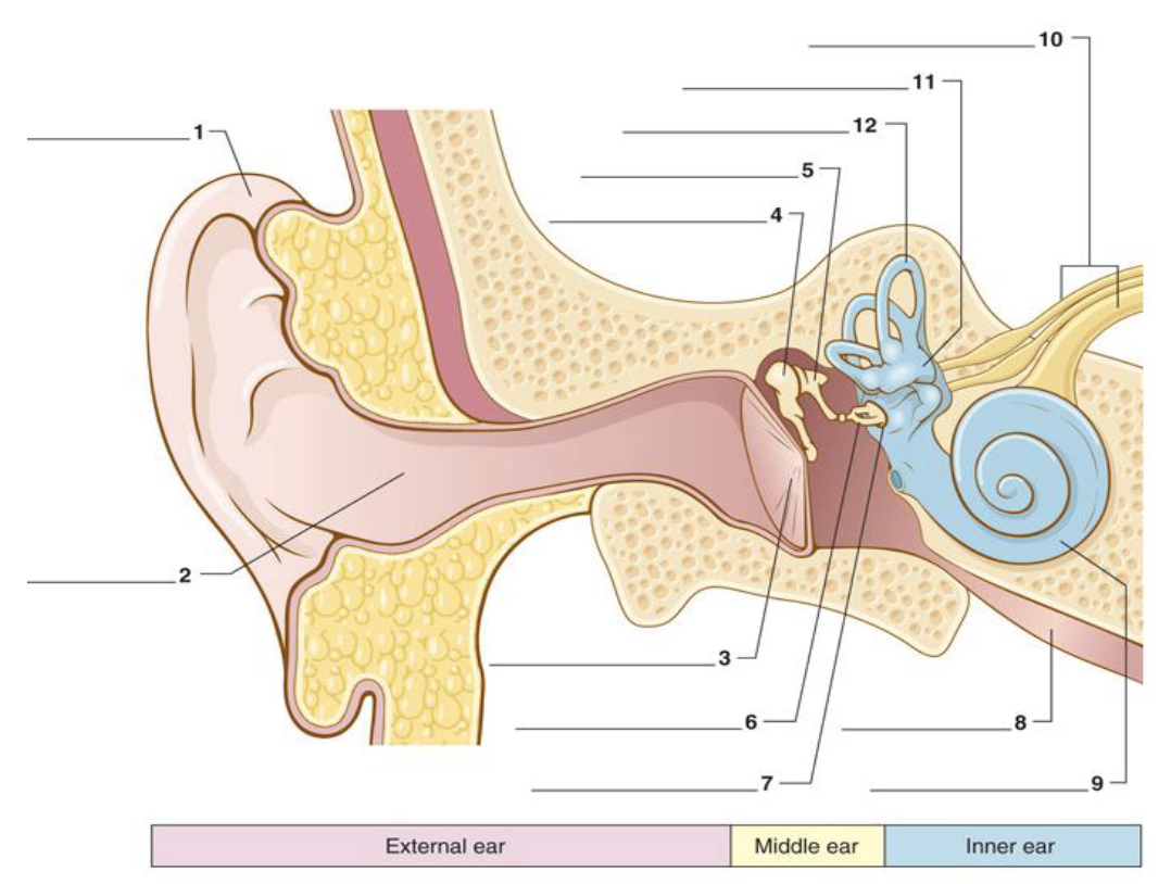 <p>Label figure 2.</p>