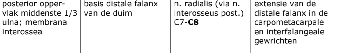 <p>diepe, schuine extensoren</p>