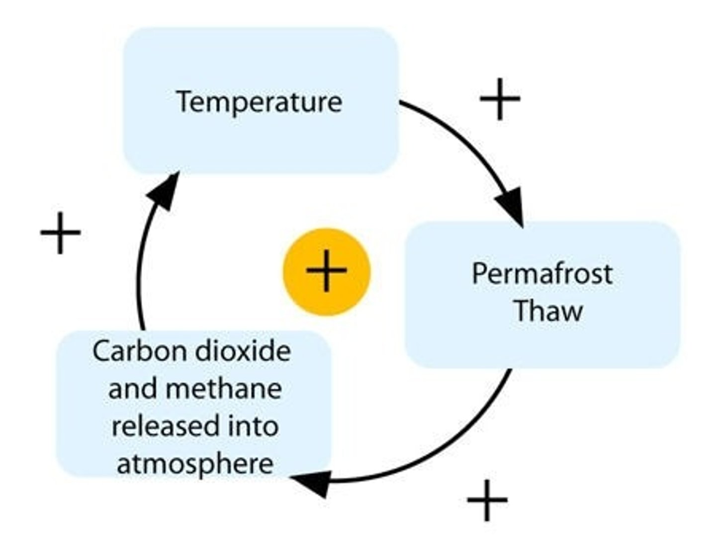 <p>One change in the climate triggers further changes, in a chain reaction that reinforces itself</p>