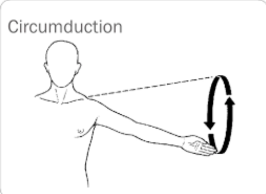 <p>a cone of movement that does not include rotation</p>