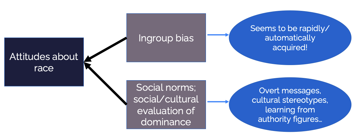 <p>development of intergroup bias</p>