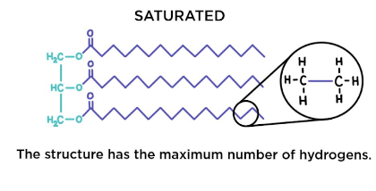 <ul><li><p>No double bonds between carbon atoms composing a chain.</p></li><li><p>As many hydrogen atoms as possible are bonded to the carbon skeleton</p></li><li><p>Solid at room temp</p></li><li><p>Typically found in animals</p></li><li><p>Called fats</p></li><li><p>Too much contributes to plaque buildup in arteries</p><ul><li><p>Ex. butter, lard, fat drained off from meat</p></li></ul></li><li><p>Flexibility allows the fat molecules to pack together tightly</p></li></ul><p></p>