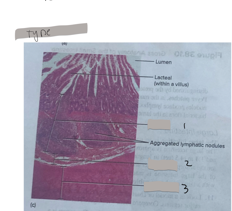 <p>1</p>
