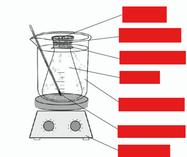 <p>label this diagram</p>