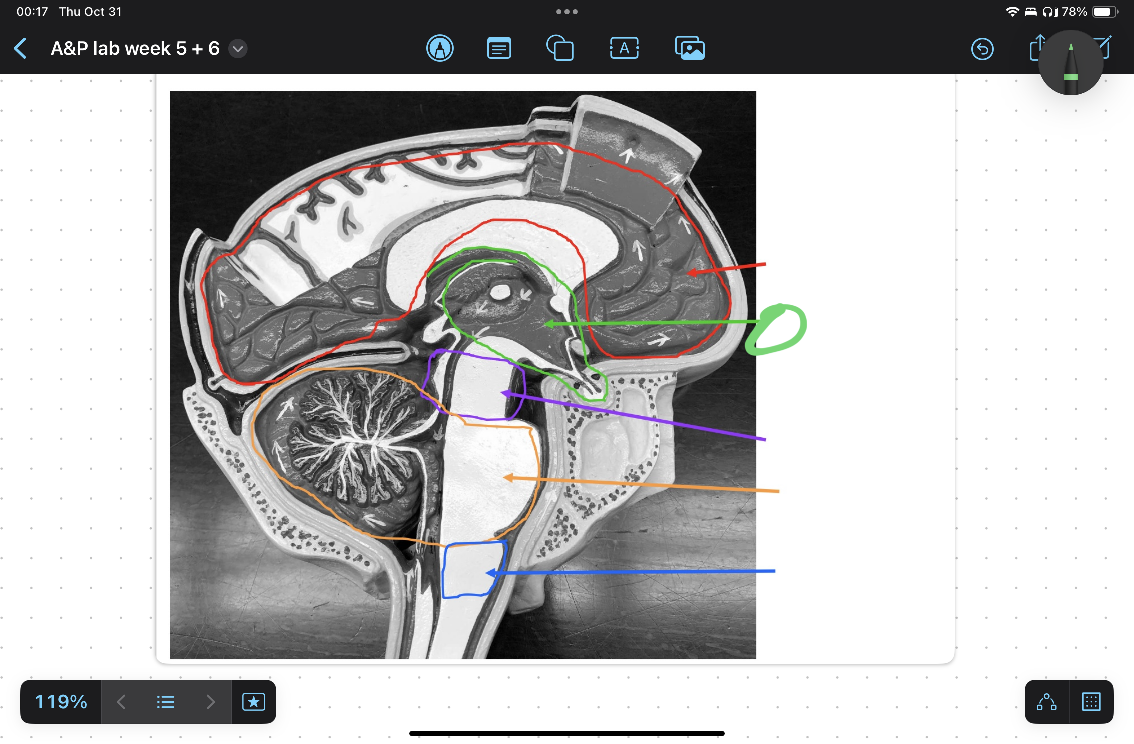 knowt flashcard image