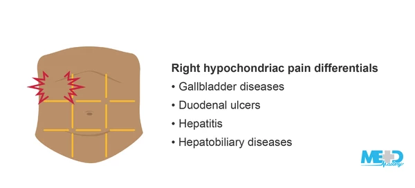 <p>includes liver (right lobe) and gallbladder</p>