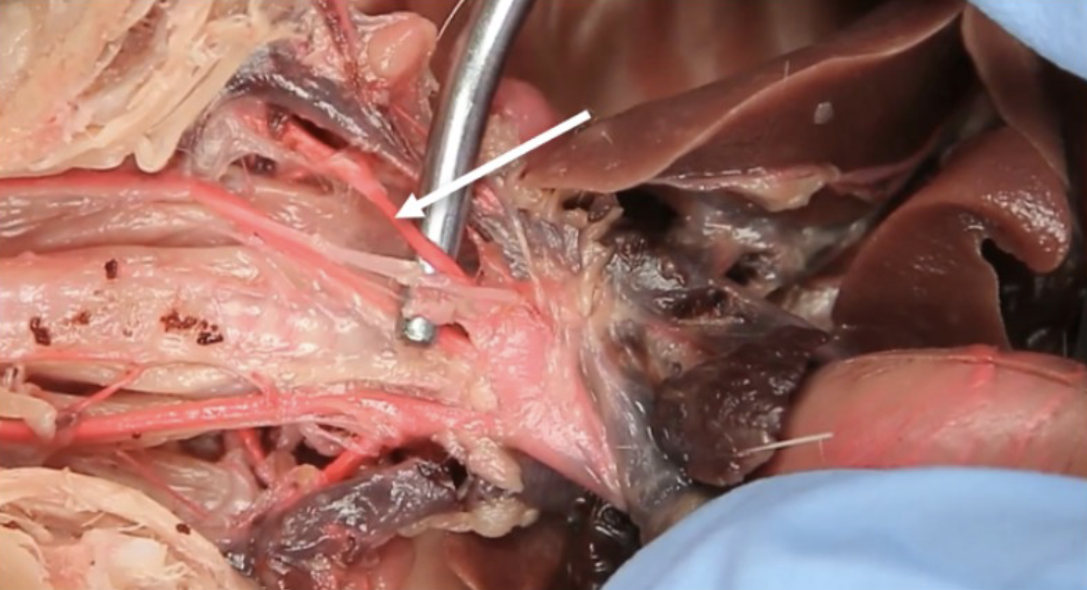 <p>What is this?</p>