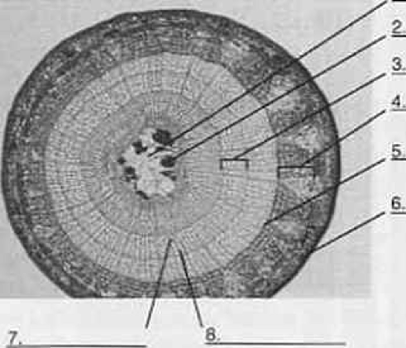<p>6?</p>