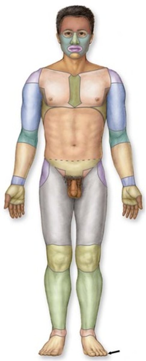 knowt flashcard image