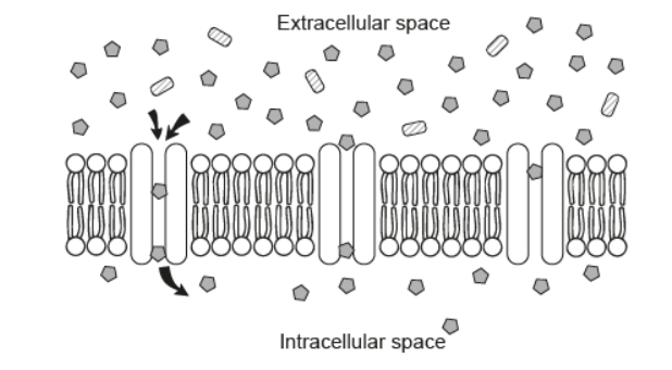 <p><span><span>What describes this movement?</span></span></p>