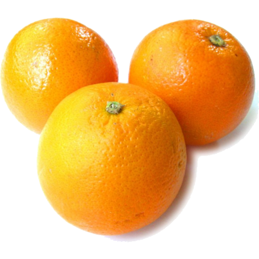 <p>Oranges (Naval)</p>