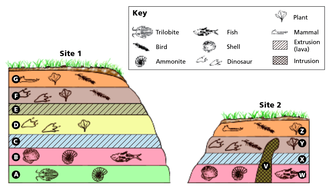 <p>Which layers of rocks are the same absolute age?</p>