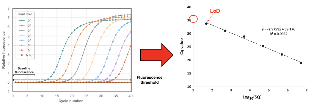 <p>The lowest concentration of target DNA that can be detected during amplification</p>