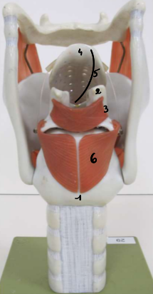 <p>2</p>