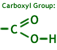 <p>Carboxyl groups are weak acids that are common in many organic molecules including amino acids and fatty acids.</p>