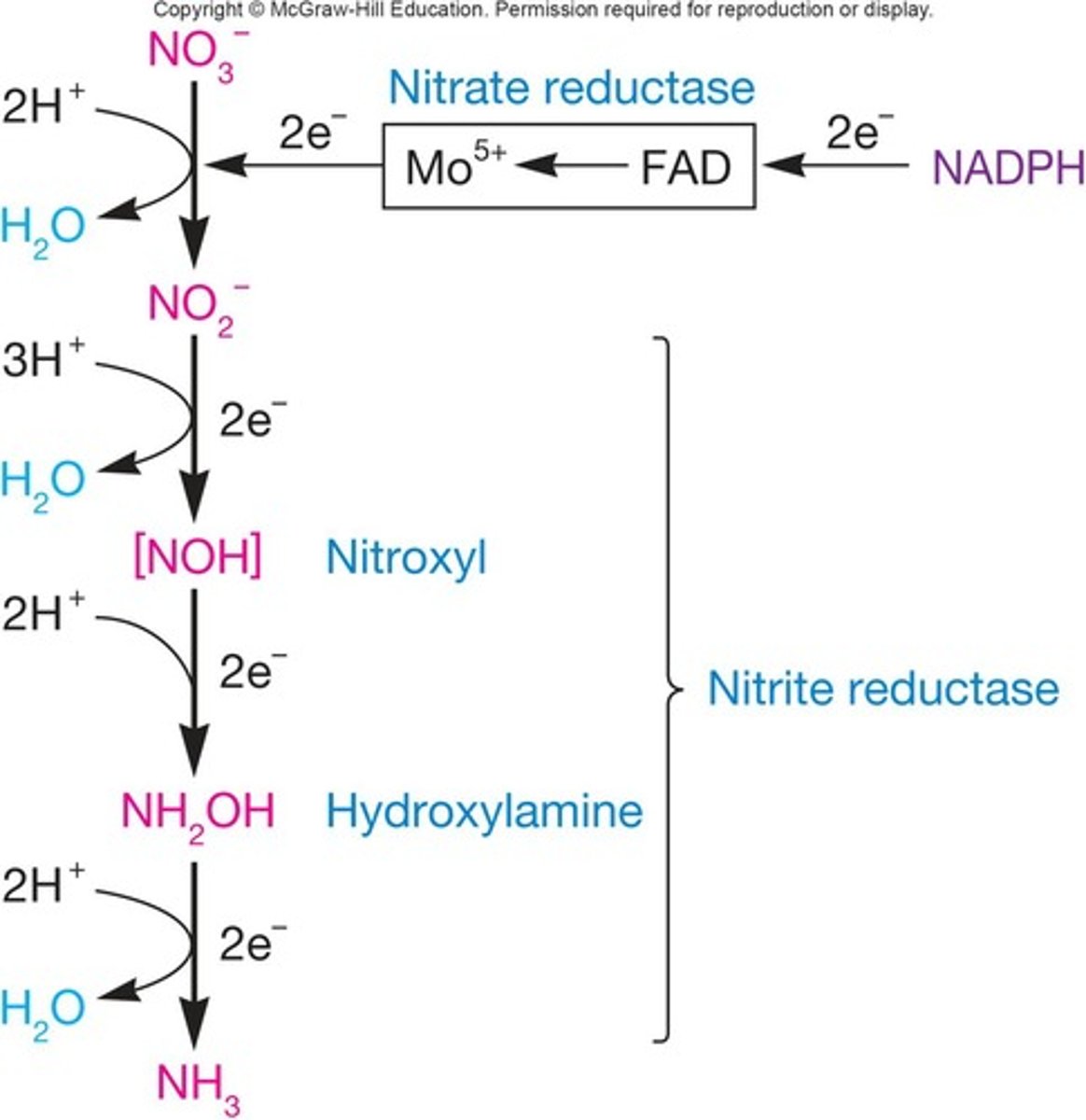 <p>Nitrate (NO3-).</p>